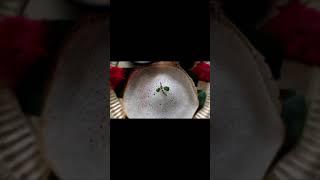 Authentic Kerala Appam recipe without yeast  |South Indian Healthy breakfast recipe |Kerala Style