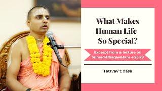 What Makes Human Life So Special? | Wisdom Bites by Tattvavit dāsa