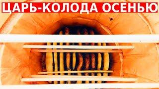 Роевая энергия не подвела пчёлы отстроили много сот в колоде