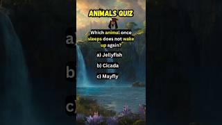 Animals Quiz #shorts #quiz