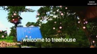 CINEMATIC VIDEO !!..VLOGE TO TREE  House