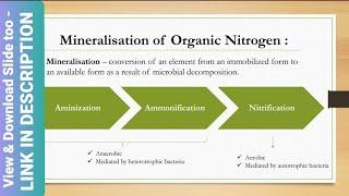 Mineralization of Organic Nitrogen | Soil Science |Arun Katyayan