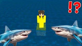 Minecraft BUT Water Rises Every Minute