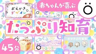 【赤ちゃんが喜ぶ】赤ちゃんが喜ぶたっぷり知育│0歳/1歳/2歳/3歳の知育│赤ちゃんが泣き止む・笑う│乳児・幼児向け知育番組