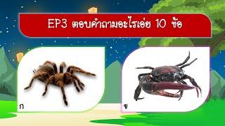 EP3 ตอบคำถามอะไรเอ่ย 10 ข้อ | VGameKids