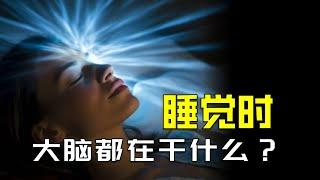 探索睡眠的奧秘：大腦如何在夢中重塑現實？【颀思诺想】