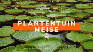 Plantentuin Meise: A Botanical Garden in Belgium | Belgian Filipino Lovers