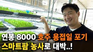 호주에서 연봉 8000 용접일 포기하고, 스마트팜 상추 농사 시작한 30대 청년농부 [스마트팜, 로메인 농사]