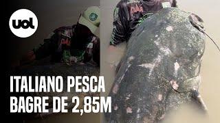 Pescador captura bagre de 2,85m e bate recorde mundial na Itália; veja