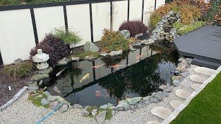 Beautiful Japanese style Koi Pond in the UK!