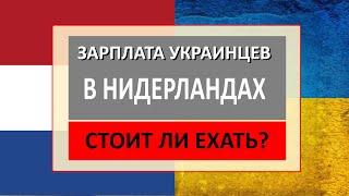 Зарплата в Нидерландах. Сколько получают украинцы в Голландии?