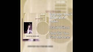 David Wilcox - Saturday They'll All Be Back Again D#/Eb tuning