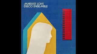 Marxist Love Disco Ensemble - Engineers