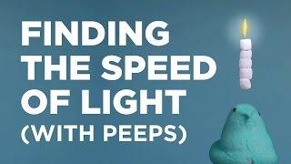 Finding The Speed Of Light With Peeps | SKUNK BEAR