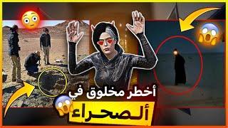 أهرب بعيداً اذا رأيت هذا المخلوق !! (ابو فانوس)