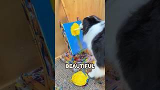 This Dog Can Paint 