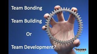 Team Bonding, Team Building or Team Development?