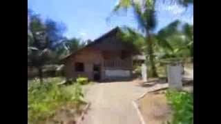 Mga gulay sa Bahay Kubo song