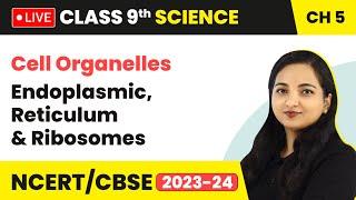 Cell Organelles: Endoplasmic, Reticulum & Ribosomes | Class 9 Science Chapter 5 (LIVE) 2023-24