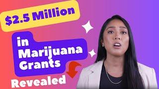 Seize Your Share  $2 5 Million in Marijuana Grants Revealed!