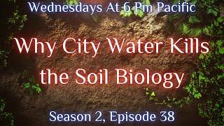 Why City Water Kills the Soil Biology