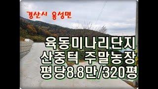 (영천착한부동산)NO.920/경산시 용성면 주말농장 320평 / 평당8.8만원 2,800만원