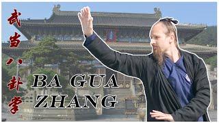 Wudang Eight Trigrams Palm - 武当八卦掌 (Ba Gua Zhang)