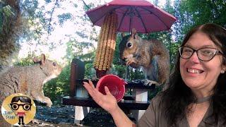 More Squirrel Picnic Table Fun!!!! ️️