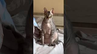 А как ваши прорабы?