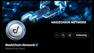 Wadzchain Wadzpay WCO WTK Video Update 11-15-24