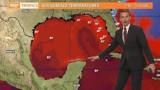 What is the 'Loop Current' and how does it affect hurricanes in the Gulf?