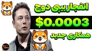 انفجار بیبی‌دوج و رسیدن به قیمت 0.0003$؟ | همکاری جدید بیبی دوج کوین