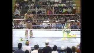 Ultimate Warrior vs. Randy Savage drama, WWF 1992