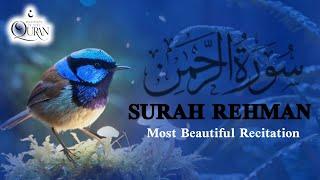 Surah Rehman Beautiful Recitation || Most Beautiful Voice || سورۃ الرحمٰن