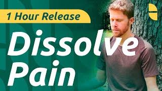 Dissolve Pain Through Non-Reaction | Root Cause Release