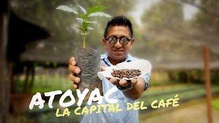 Desde la tierra del Café #GozandoGuerrero en #Atoyac