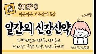 #050_(STEP3 사주명리 차근차근 기초강의 5강) 신강신약사주와 억부론 억부용신