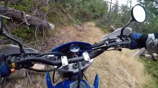 UpCountry Offroad: Bald Mt Rd to Forest Creek