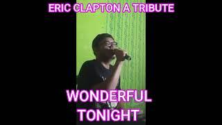 WONDERFUL TONIGHT ERIC CLAPTON A TRIBUTE & COVER VERSION