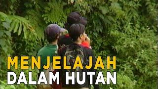 Mencari potret satwa yang ada di dalam hutan Sumatera | JELAJAH