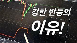 비트코인 지금이 기회인 이유!