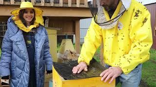 Как зимуют пчёлы? Городская ферма в гостях у Пасеки Романовых (г. Новосибирск)