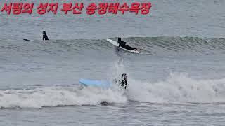 #서핑의성지 #surfing #Korea #busan #four seasons #송정해수욕장 #2024,9,24 #4계절서핑할수있는곳 #게릴라걷는방송 #여행브이로그