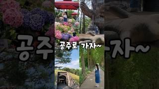 공주로 가자 #공주가볼만한곳 #공주여행 #국내여행