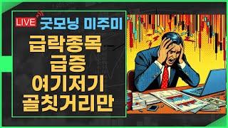 [굿모닝 미주미]   여기저기 급락 종목 출몰, 분산투자가 생명줄    #이항영 #미주미