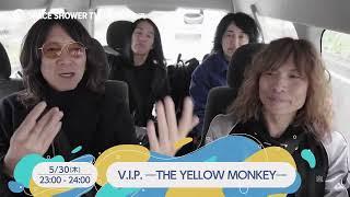 V.I.P. ―THE YELLOW MONKEY― CM