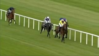 Sea The Stars - Irish Champion Stakes (2009)