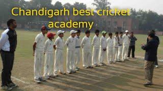 best cricket academy | indian cricket team| ipl #chandigarh #cricket #viratkohli