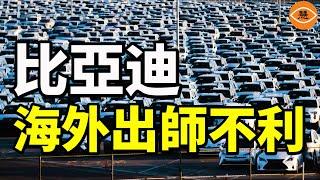 中國汽車市場變雞肋 比亞迪出海挨揍