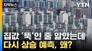 [자막뉴스] 집값 상승 멈춘 줄 알았는데...다시 오른다? / YTN